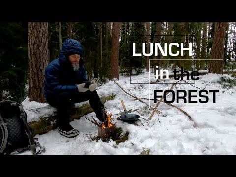 Lunch in the forest /silent/