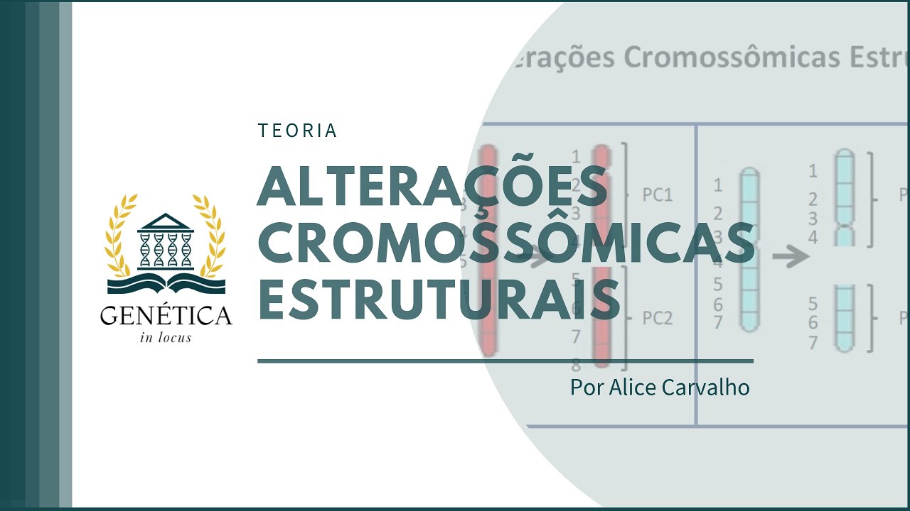 Teoria: Alterações Cromossômicas Estruturais