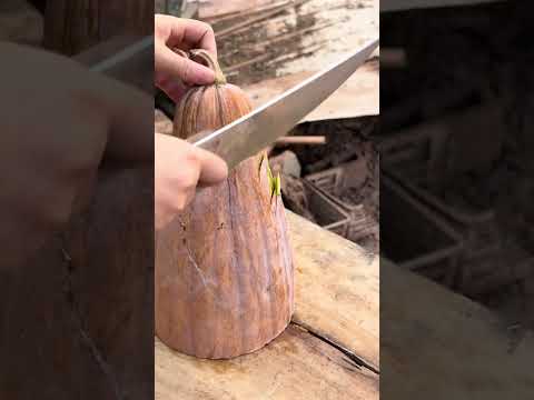 TL 71002001 mini rotary tillage and ridging all-in three tree 🌴