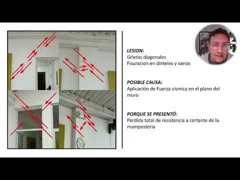 Actividad 1:  Levantamiento de Lesiones