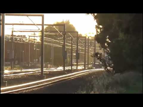 NR95 NR113 on 6PM6 in Werribee