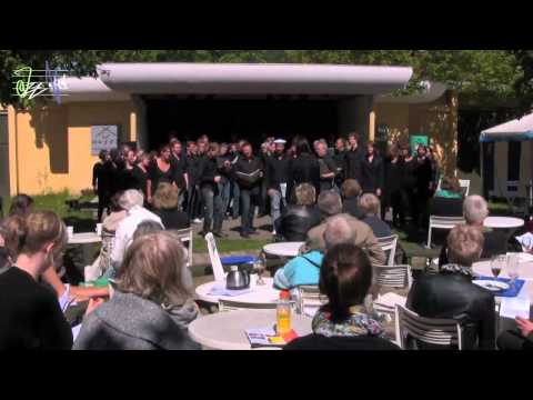 Stormsvalen Highlights-JazzNord Ensemble og Elverhøjkoret