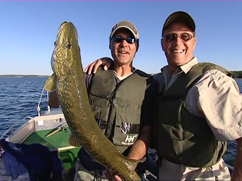 Lake Escapes - Big Pike On Lures - Pike Fishing - Matt Hayes - Fishing In Sweden