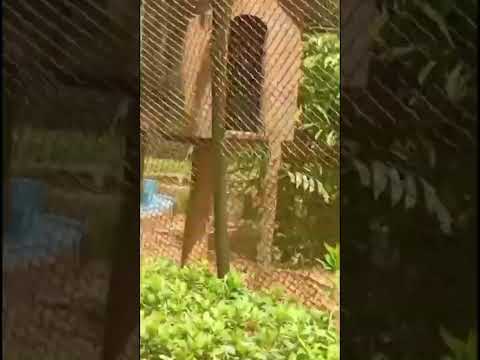 Você não vai acreditar nesse lugar em Minas Gerais! 😱✨