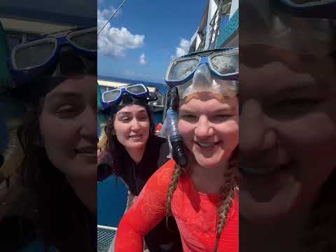Thumbnail for Snorkeling the Great Barrier Reef!! 🪸 Cruise Line has some of the coolest destinations… 10/10 for