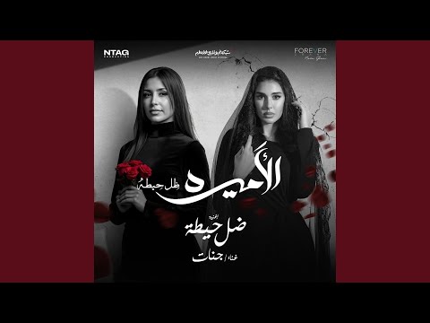 ضل حيطة