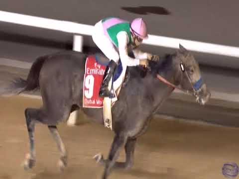 2017 Dubai World Cup - Arrogate - Dubai World Cup - Meydan Racecourse - 03/25/2017