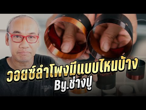 วอยซ์ลำโพงมีแบบไหนบ้าง By ช่างปู