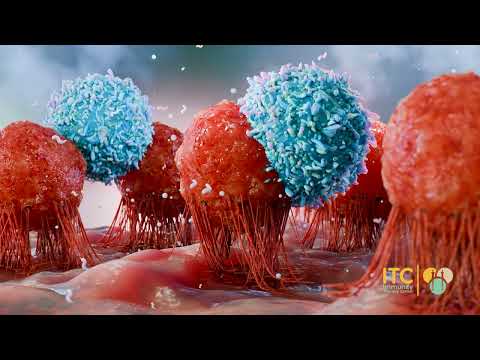 Logo of Immunity Therapy Center’s Integrative Medicine and Alternative Therapies in Tijuana, Mexico – A Deep Look