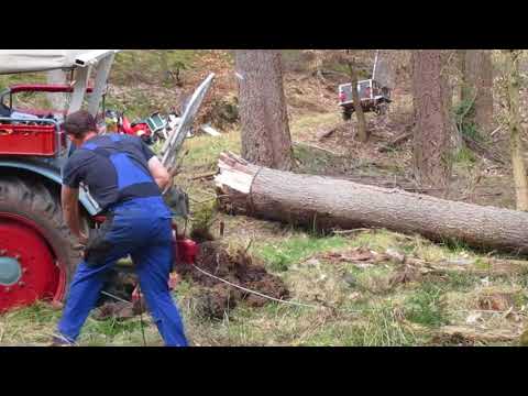 Mein Eicher EM 300 mit Tayfun EGV 35A beim Langholzrücken im Wald!!