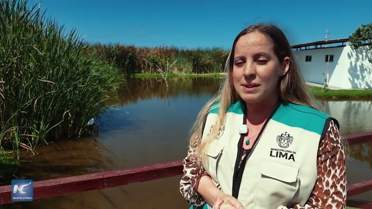 Resaltan en Perú importancia de mitigar efectos de fenómeno El Niño para preservación de aves