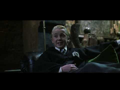 Harry Potter and the Chamber of Secrets - Malfoy, Harry, Ron and Polyjuice Potion