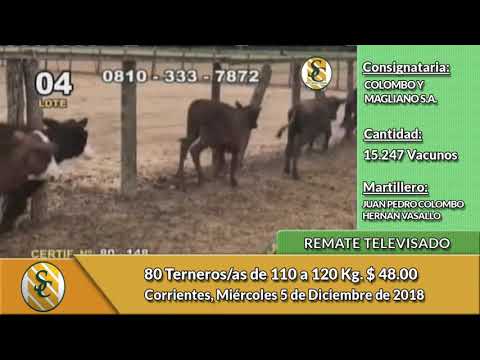 5-12-18 - Remate Televisado de COLOMBO Y MAGLIANO S.A. - Corrientes
