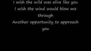 Jason Mraz - Coyotes