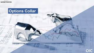 Putting on the Collar: Using Options to Hedge Risk