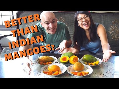 download lagu mp3 mp4 Indonesian Mango Season, download lagu Indonesian Mango Season gratis, unduh video klip Indonesian Mango Season