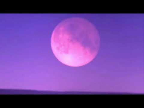 [Free] PNL x Damso Type Beat - "Cloud 69" [Prod. Svenlo] | Free Type Beat 2020