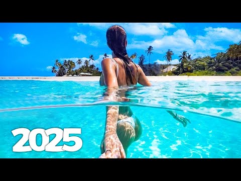 Canciones de Verano 🌿 Playlist para Momentos Inolvidables🎶Alok, Dua Lipa, Coldplay, Martin Garrix #3