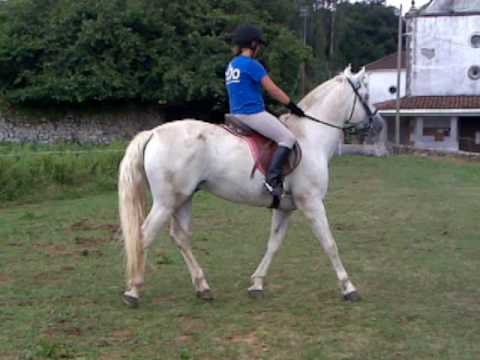 Levantada impresionante