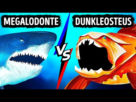 E Se o Megalodonte Encontrasse o Peixe com a Mordida Mais Forte de Todos os Tempos