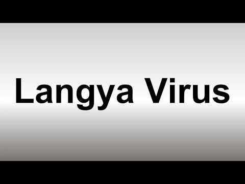 How to Pronounce Langya Virus