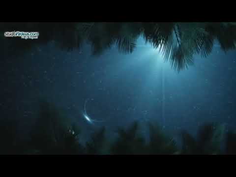 43. Surja Ez Zuhruf - Stoli ari