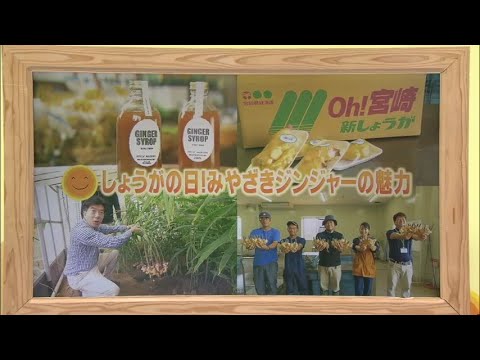 2024年6月15日(土)放送 「しょうがの日！みやざきジンジャーの魅力」