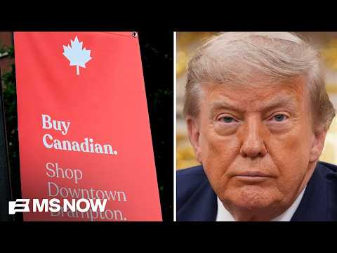 Trump 'wants Canada's economy to effectively fold': Hillyard