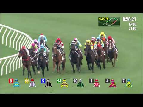 27/3/2022 (536) Maximize Heart - R Maia