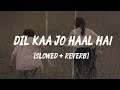 Dil Kaa Jo Haal Hai Slowed Reverb 1Abhijeet Bhattacharya Shreya GhoshalI Besharam I SSR Lofi