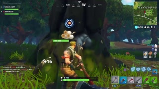 初フレンドといくfortnite実況放送