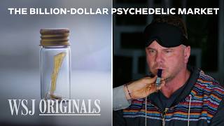 Thumbnail for The Race to Commercialize the World’s Most Powerful Psychedelic | WSJ