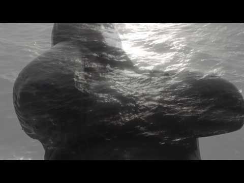 Kimi Kärki feat. Patrick Walker: Beyond Distance (Official Music Video)