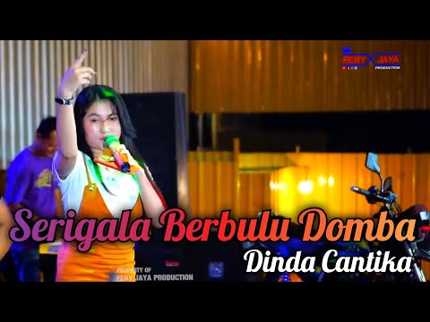 HAPPY LOSS - SERIGALA BERBULU DOMBA - DINDA CANTIKA - 15 YEAR ANNIVERSARY ORSPEX - WARKOT KUDUS