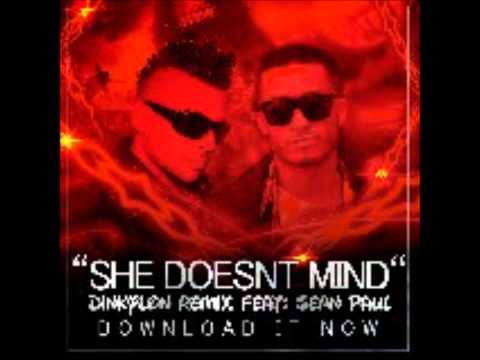 Sean Paul feat Dinkylon - She Doesn't Mind REMIX