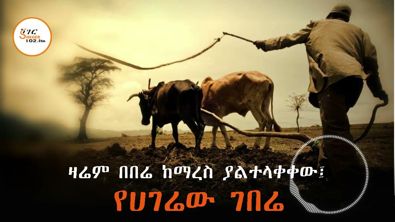 ለኢትዮጵያ ጥቅል ሀገራዊ ምርት 32 በመቶ ያሚያበረክተው ግብርና
