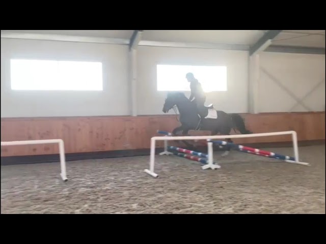 UNDER SADDLE VIDEO