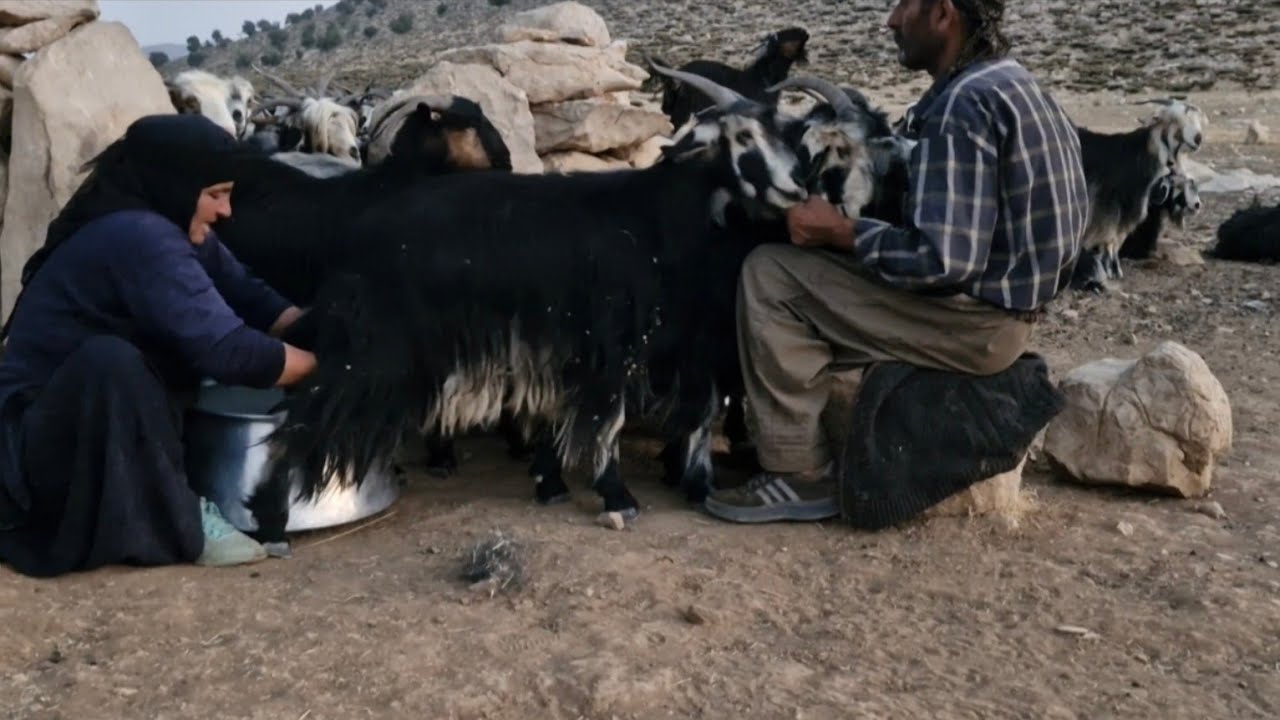 In the Heart of the Mountain: From Herd to Harvest, a Narrative of Silent Nights