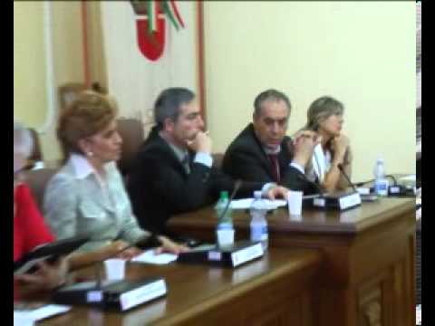 ONDA TG 29.07.2013 - INCONTRO METANODOTTO