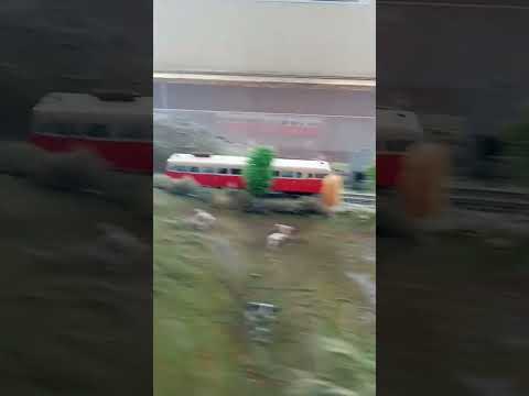 Ma passion les trains : train miniature