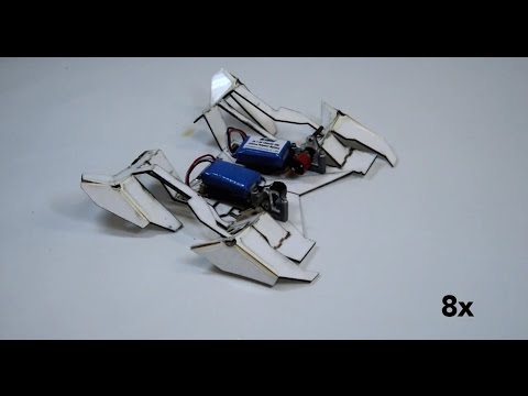 Будущее робототехники: роботы-оригами. Фото.