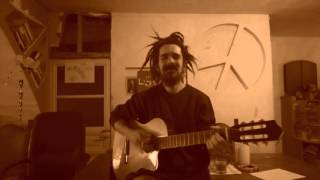 Toi le politicien (cover Mr lézard)