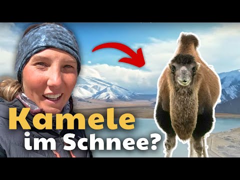 THIS is CHINA? | Bicycle world tour on the Karakoram Highway [#24]