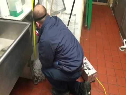 Cockroach clean out service in Neptune, NJ | Roach control & removal in NJ