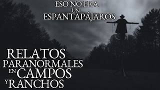 40 DE MINUTOS EXPERIENCIAS ATERRADORAS EN CAMPOS Y RANCHOS HISTORIAS DE TERROR