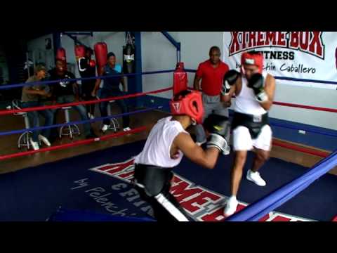 MURDER CAT DANDOLE GUANTE