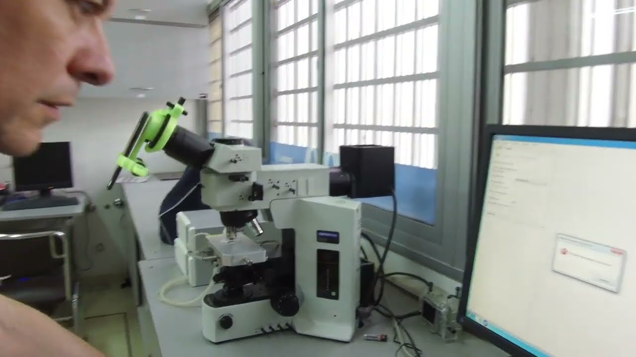 Laboratorio de Microscopía Electrónica y Análisis por Rayos X: LAMARX