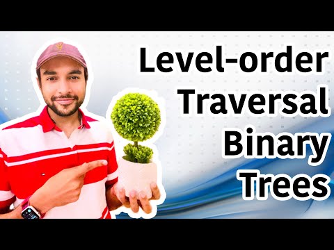 Level order traversal of Binary Tree | Step by step demo with example | Study Algorithms