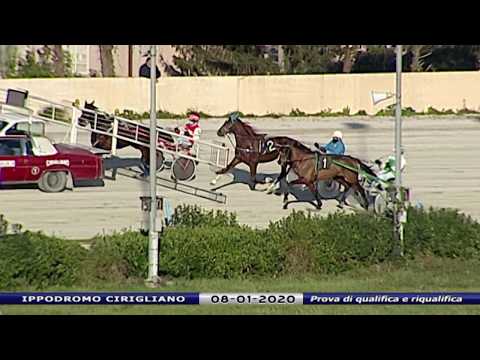 Aversa trotto 8 Gennaio 2020 - Prova di qualifica