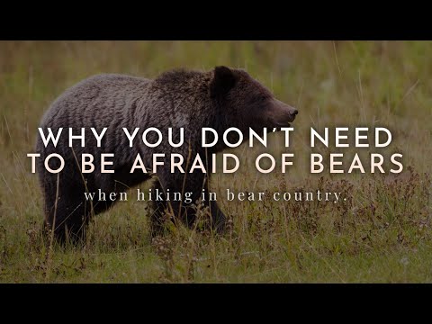 How to Hike in Bear Country - Do's and Don'ts Around Bears